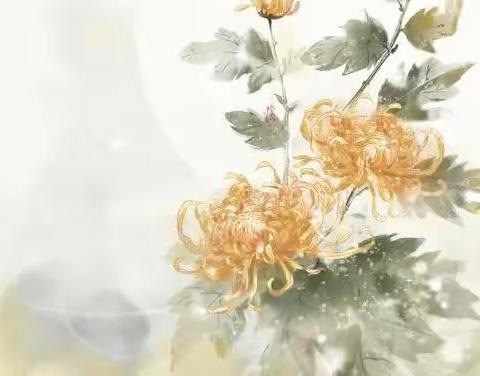 珍惜城镇环境，共建美丽家园——增福大队工作纪实