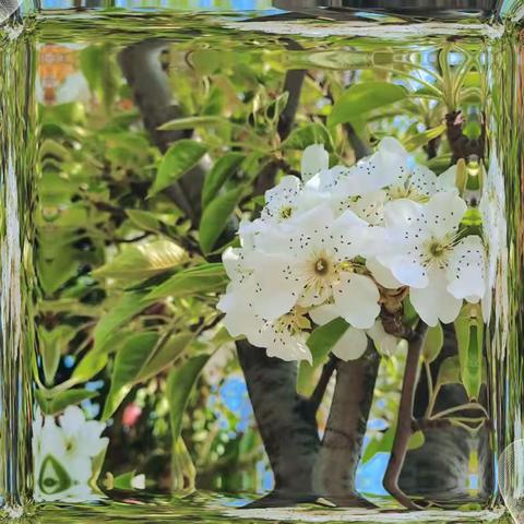 “暑”你最美，致敬烈日下的坚守——增福大队工作纪实