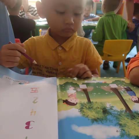 小林老师的美篇