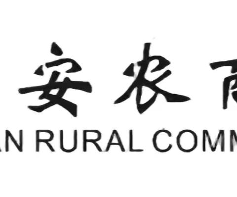 瑞安农商银行财富队伍能力带教项目回顾