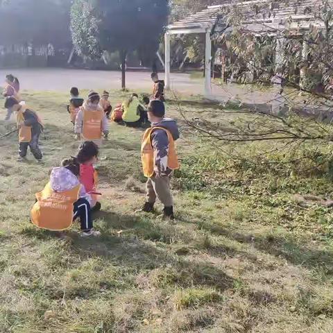 中班11.29日活动观察记录