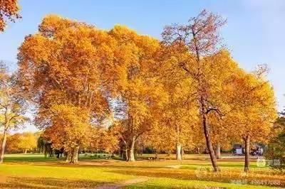 你好秋天——孝义幼儿园里的秋天趣事！