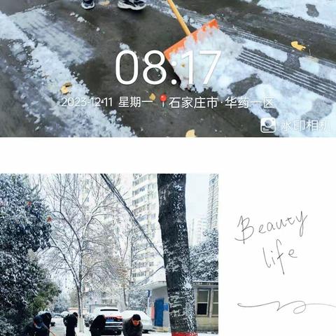 冬日扫雪 情暖人间