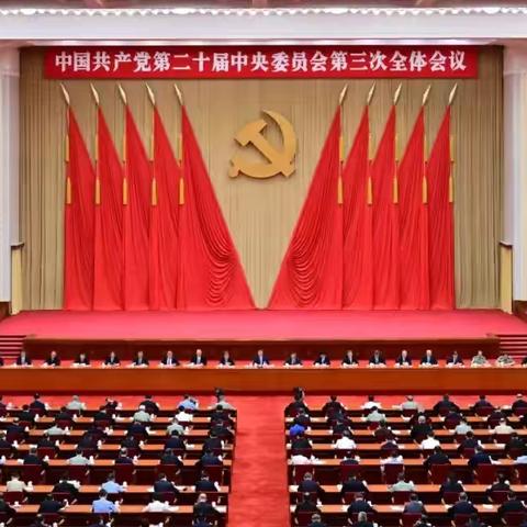 沈阳分行团委专题传达学习贯彻党的二十届三中全会精神