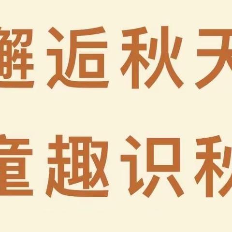 🍂抓住秋天的小尾巴 “邂逅秋天 童趣识秋”嵩阳街道中心幼儿碧桂园园区小二班主题活动🍁