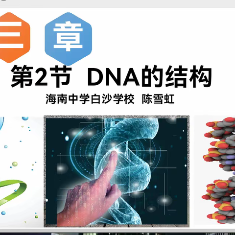 一轮复习教材回归—DNA的结构