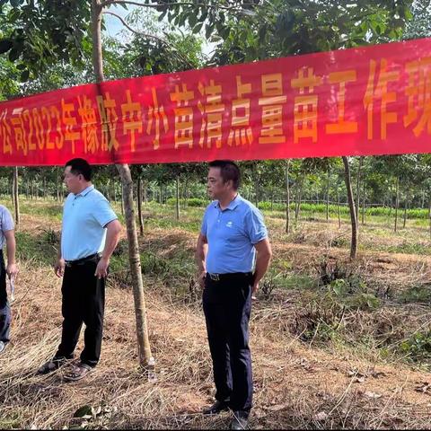 海胶集团西联分公司召开2023年中小苗清点量苗现场会