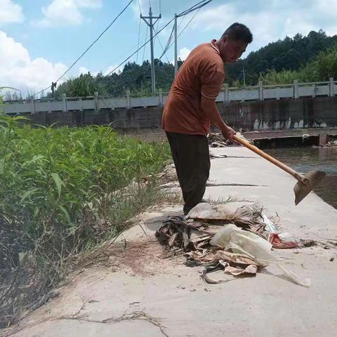 守一方净水清流，河道专管员在行动