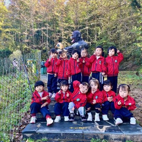 倾听幼儿·相伴成长——健康、快乐小一班