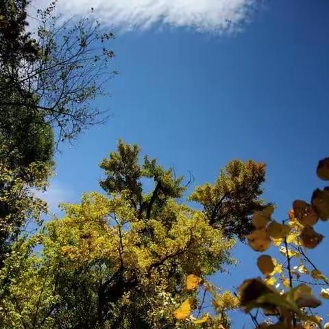 【全环境立德树人】 向阳光，怀梦想，筑美好人生 ——致健康快乐、阳光向上的初二一班