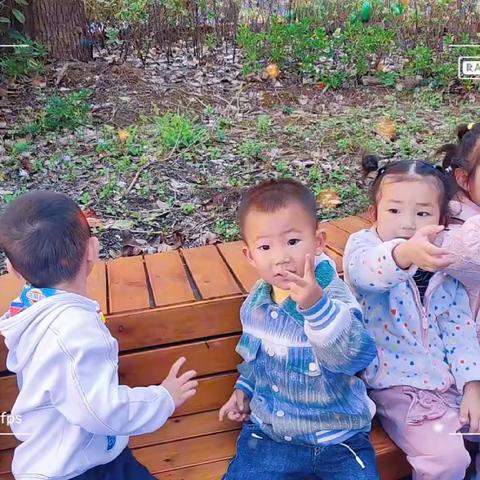 食物乐园--正安县第六幼儿园小（7）班十月小结