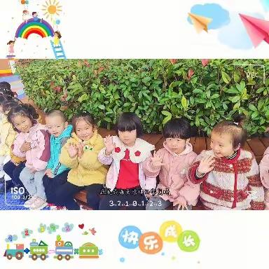 我的动物朋友--正安县第六幼儿园小（7）班十一月小结