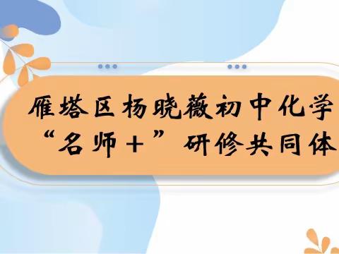 聚力赋能，研以共进——杨晓薇“名师＋”研修共同体活动纪实34