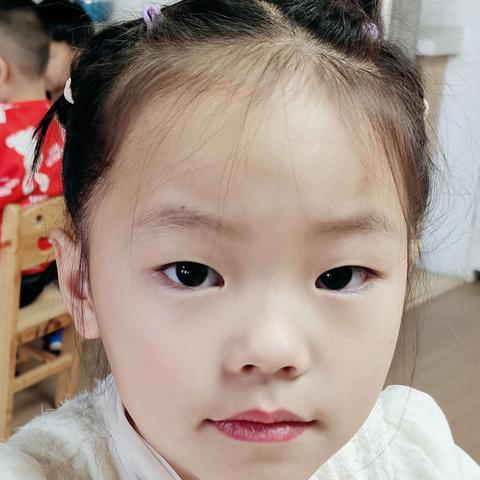 幼小衔接之“慧”阅读 共成长 大一班课程故事