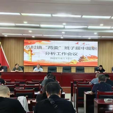 “三步走”抓实村“两委”班子届中履职分析