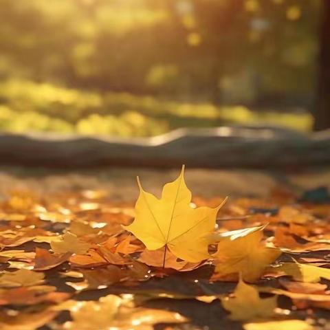 金秋送爽，岁月静好—2024年下期五星小学第十周值周总结