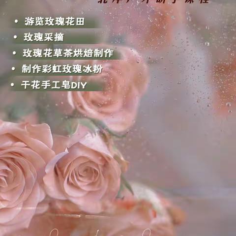 北岸画室【山野玫瑰之约】 户外自然研学课程 一起对话大自然 ‍探索香花植物的奥秘 ‍ ‍