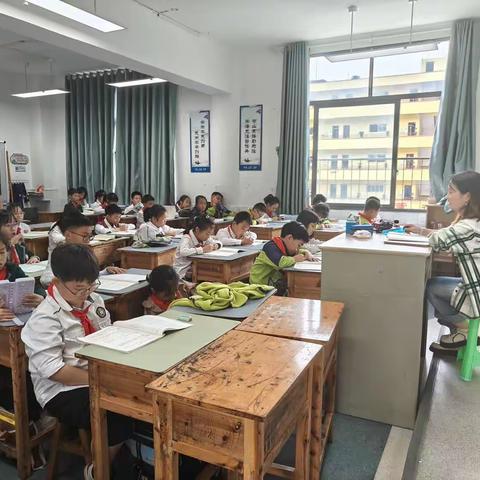 萱花小学10月23日实习简报