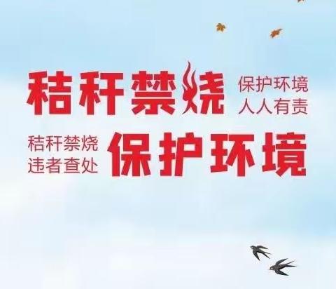 青年镇：以学促干，将主题教育成效转化为可燃物禁烧工作的生动实践