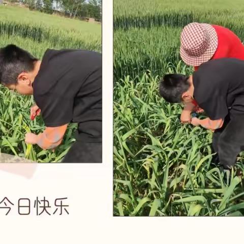 不负五一好时光  特色作业展风采 —东七小学六年级优秀作业展览