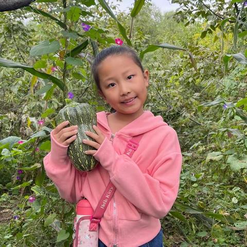 🌾🌾🌾🌾🌾丰收的喜悦 🌾🌾🌾🌾🌾平潭街小学三年级(4)班吕锦研﻿﻿﻿﻿