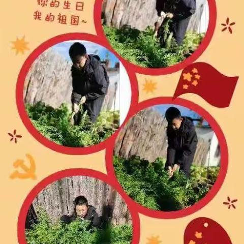 金秋良辰时，悦享丰收节一一呼玛一中劳动实践剪影