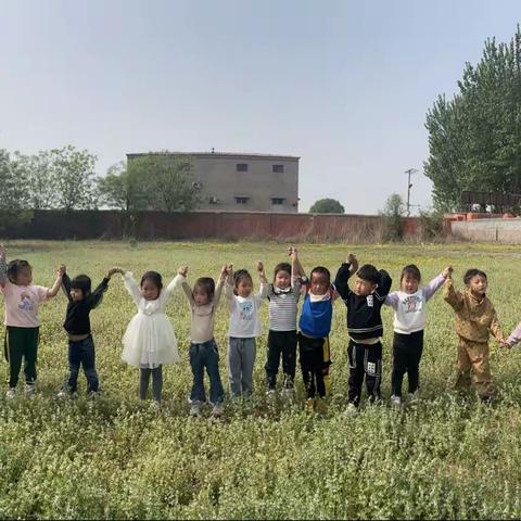 关爱学生，幸福成长｜金山小学附属幼儿园出游篇