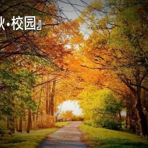 『秋•校园🍂』—衢州风华学校七（8）班