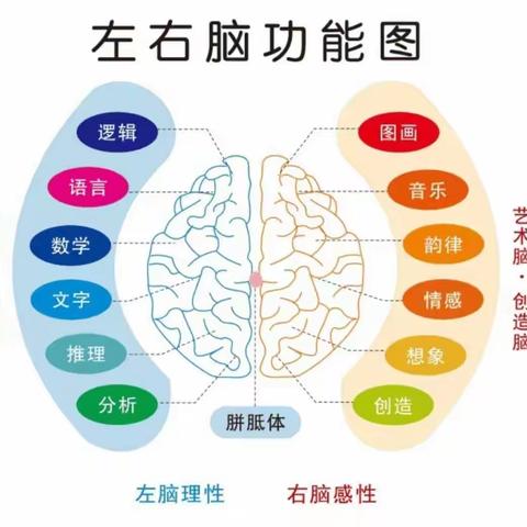 【周中医·康复科】什么是认知训练？特殊儿童认知能力不足的表现