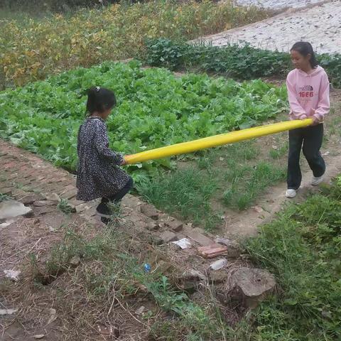 华龙区实验小学~三一班~赵雨桐