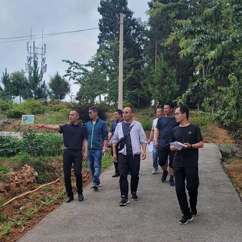 砥砺奋进谱写新篇章