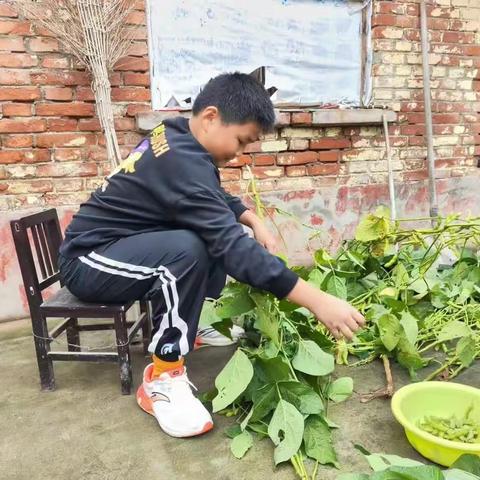 华龙区实验小学—五年级一班 薛梓旭—迎国庆，传承美德实践活动！