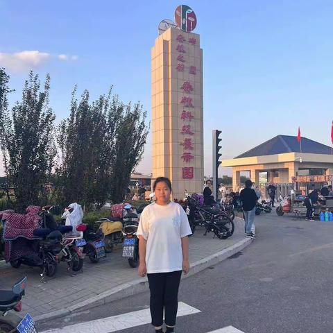 【附中学子这样过国庆】欢度国庆 走进农田—忻州师范学院附属中学初一22班陈绘如2023年国庆假期实践活动小记