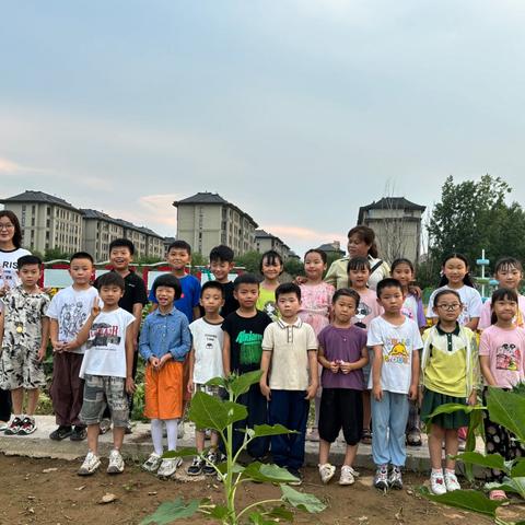 【悦·劳】劳动砺心志 实践促成长—河南大学附属小学金明校区劳动实践纪实