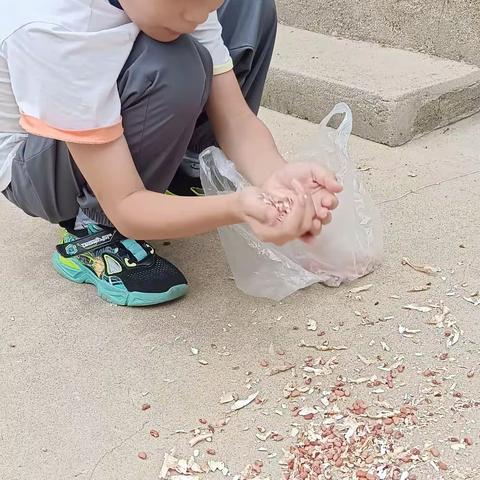 缅怀  铭记  传承