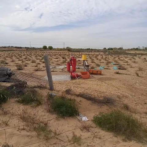 巴图湾村毁林毁草开荒植被恢复进行中