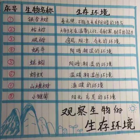 观察校园生物的生存环境