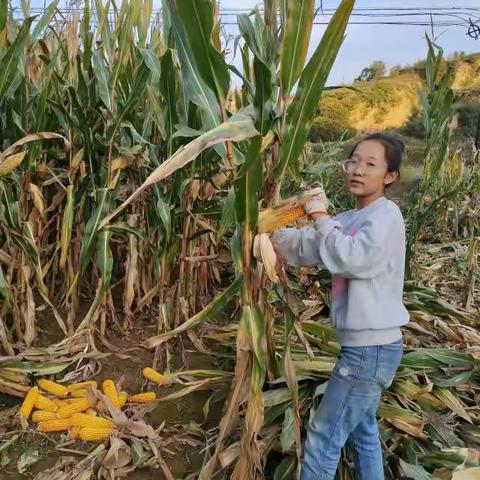 美丽的田园生活