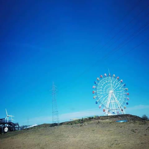 五六班王梓羽的国庆假期