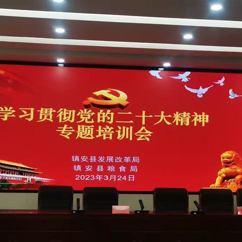 镇安县粮食局开展贯彻党的二十大精神专题培训