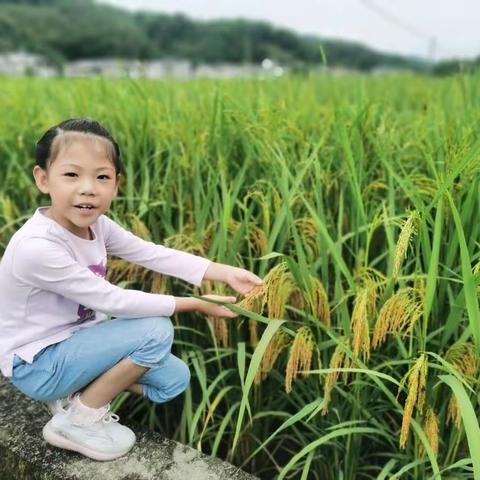 迎中秋  庆国庆