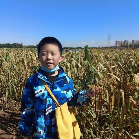 长征小学四（8）班姚凯旋  走进大自然，感受秋天的美