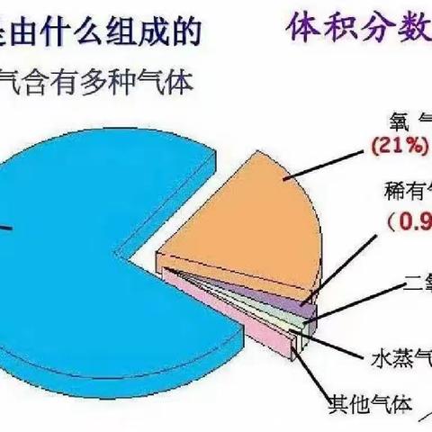 我们吸入的气体和呼出的气体