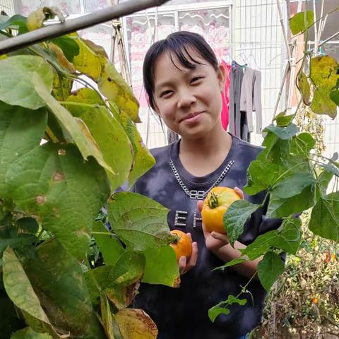 忻州市第十一中学 2308班   杨逸昕 丰收的喜悦