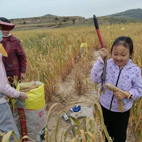 黄河路小学二三班双节劳动实践作业王培玲