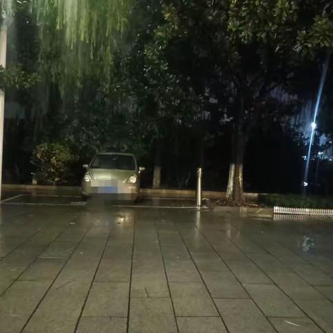 暴雨过后的逆行