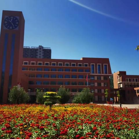 呼和浩特市第四中学分校 教学常规系列（一）     教案检查   促教提质