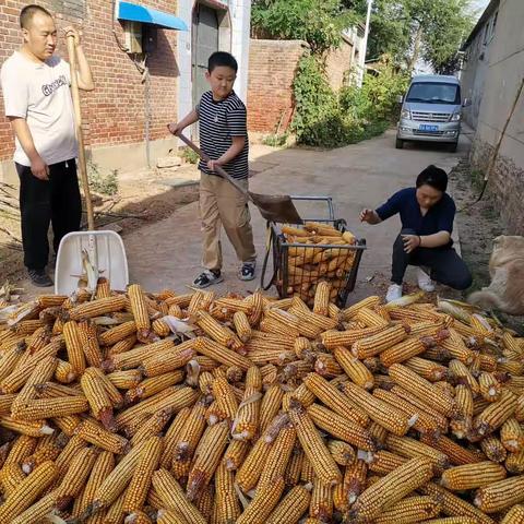 中秋国庆快乐 友谊大街小学五年级12班 王嘉裕