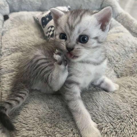 “十三”成长记