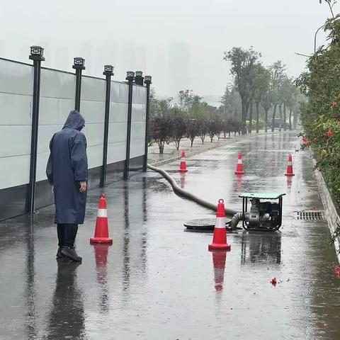 雨情就是命令，防汛就是使命